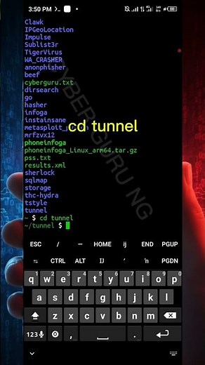 Ngrok Installation & Management – 45-Second Demo