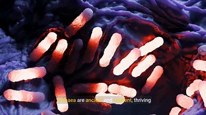 9K views · 137 reactions | Exploring the Tree of Life: Archaea,...