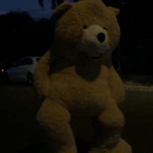 19K views · 1.1K reactions | Happy Halloween!! My costume was lots of fun for the kids....but HOT ! #halloween #dancingbear | Robby Naish | Facebook