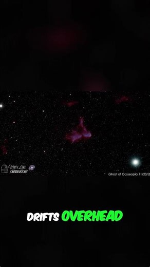 Elephant Trunk Nebula: Witness the Cosmic Creation in Space! #shorts