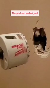 The quickest, easiest & strongest drywall patch. This is my go to for holes under 4" use your hole saw to drill out the hole and to cut the new drywall for the patch. Make sure to keep the excess paper on the patch this will act as the tape. Then mud the inside of the hole and under the paper and it will fuse to the wall. 2-3 coats of mud on top and your done. #drywall #drywalltips #drywallnation #drywallpatch #diyprojects #diyproject #handymanservice #carpentrywork #homerenos #renotips #bluecol