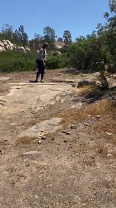 44 reactions | Larue the crested caracara with the classic caracara call. He went for some huge flights over the ridgeline and showed back up over the opposite one in a matter of seconds, it seemed. It has taken many ups and downs with him to feel consistent in his big flights, and he can be a challenging bird. But one of our proudest goals is a nice full crop and an eagerness to go home voluntarily.... and tell everyone all about it ;) | Avian Behavior Conservancy | Facebook