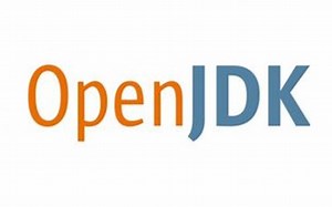 【教程】在arm开发板（aarch64）上安装openjdk（java）-理观四方-理观四方-哔哩哔哩视频