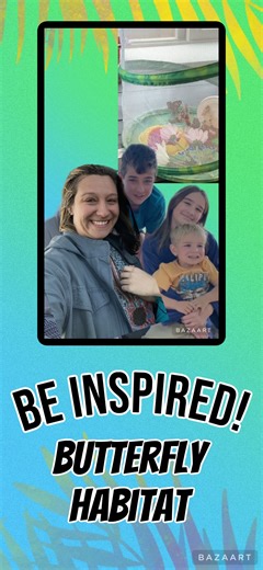 Watch Butterfly habitat Garden kit on Amazon Live