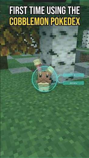 Using the Cobblemon Pokedex