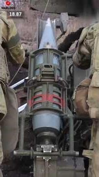 Pigs of war #russiaukrainewar