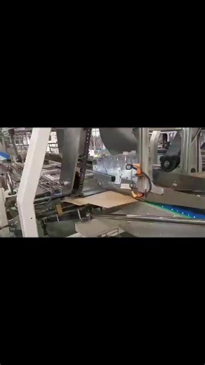 Case Packer for Bottles Cans