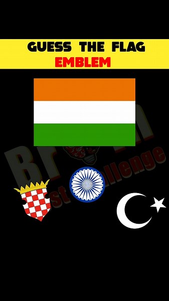 Guess Challenge : Guess The Right Flag Emblem ! | Puzzle for IQ Test | #shorts #viral #paheliyan