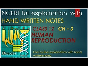 CLASS 12 | BIOLOGY | CHAPTER 3 | HUMAN REPRODUCTION | HAND WRITTEN NOTES | PART - 2