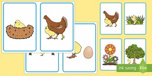 Where Is the Chick? Positional Language Picture Cards