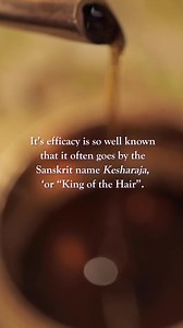 Ancient Ayurvedic texts describe many useful herbs for the hair...