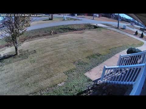 Detached Firetruck Hose Gets Tangled Around Driveway Mailbox - 1794441