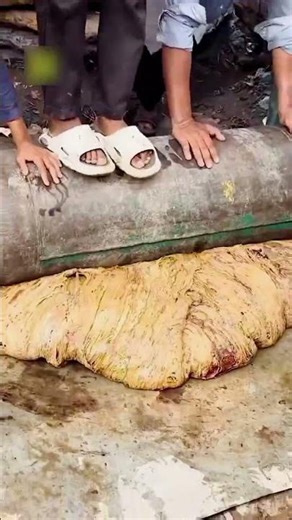 Plastic Bag Recycling Process. (part -1)
