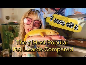 The 3 Most Popular Pet Lizards Compared (Leopard Gecko, Crested Gecko & Bearded Dragon)