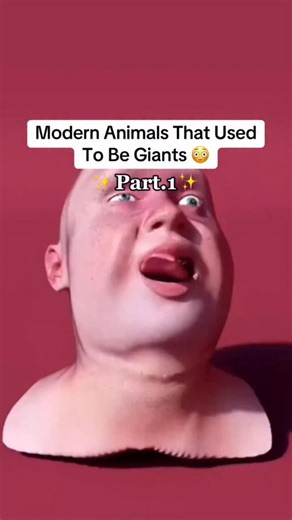 Decoding Worlds – Nature’s Darkest Secrets on Instagram: "🦎🐾😱 Modern Animals That Used to Be Giants — Nature Shrunk Them Today’s creatures hide a prehistoric past: 🐊 Crocodile: Once twice as long and twice as fierce 🦥 Sloth: Towering over humans in ancient times 🦈 Shark: Ancestors the size of small whales 🐍 Snake: Some species stretched over 40 feet 🦘 Kangaroo: Gigantic versions roamed Australia 🐉 Dragonfly: Wingspans wider than your arms The unsettling truth? The tiny animals we see to