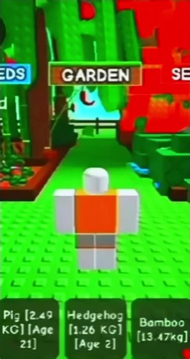 Grow a Garden Song: Cultivating Nature's Beauty