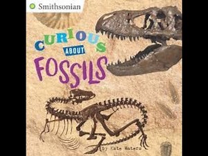 Curious About Fossils