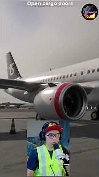 Airport SIM: Luggage A320 Opening the cargo door