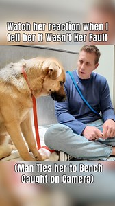 719K views · 18K reactions | Watch her reaction when I tell her It Wasn’t Her Fault (Man Ties her to Bench Caught on Camera) #germanshepherd #rescue #adoptdontshop | Rocky Kanaka | Facebook