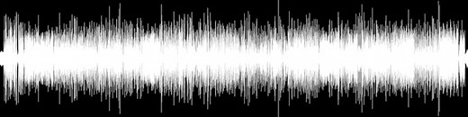 Brainy Baby Animals 2002 VHS