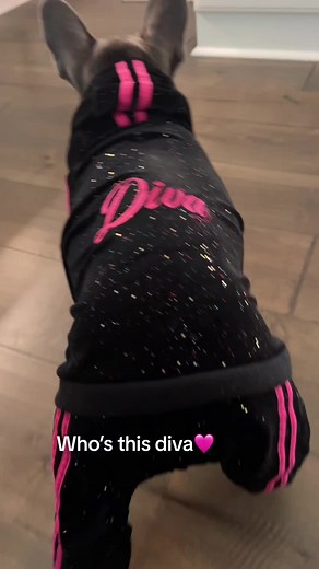 Who's This Diva? Unveiling the Dance Queen