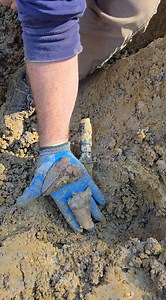 29K views · 254 reactions | DOUBLE Megalodon discovery at Lightning Site. "JUST KEEP DIGGING" #palmettofossilexcursions #palmettofossils #Megalodons #fossilhunting #reel #mako #treasurehunt #video #sharks | Palmetto Fossil Excursions | Facebook