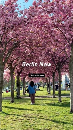 Spring in Berlin🌸💗🌸 #visitberlin #berlinblossom #travel