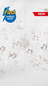 14K views | Speed Mop - Quick, easy and hygienic: trap & lock daily dirt and grime in an instant without getting down on your knees! | Flash Cleaner | Facebook