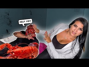 HE TURNED INTO THIS....