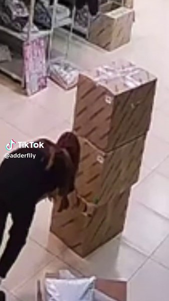adderflly on TikTok