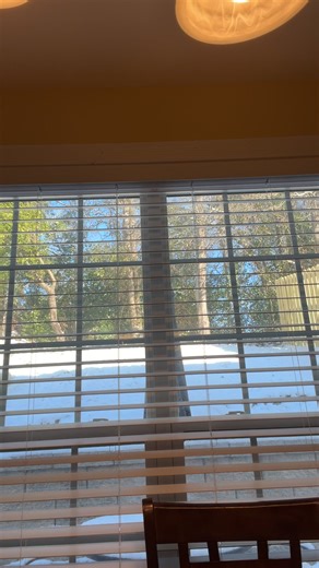 New Creation Christian Church on Reels