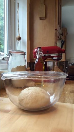 Bread Rising Time Lapse — It's Alive!