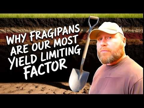 Why Fragipans Are Our Most Yield Limiting Factor