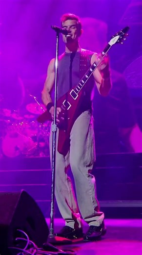 Beautiful Disaster #311DAY