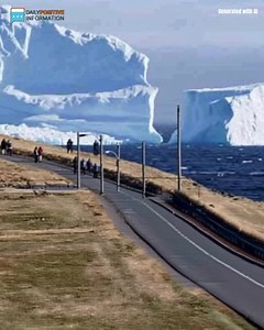 Iceberg floats near the local village. When people see something move on it, they were terri.fied 😨👇 | The Science Knowledge