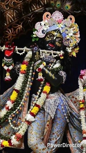 ✨Radhe radhe 🦚❤🤗#krishna#radhakrishna#bhaktistatus#shortvideo#viralreel#vrindavan#radharani