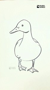Easy Duck Drawing Step by Step | Simple Drawing for Beginners #EasyDrawing #DuckDrawing #SimpleDrawing #DrawingForBeginners #KidsDrawing #StepByStepDrawing #ArtTutorial #LearnDrawing | Rubel Ahmed