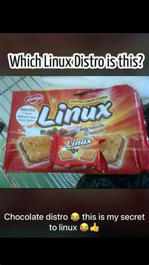 #cloudcomputing #linuxterminal #aws #chatgpt #awsec2 #awstutorial #linuxcommand #awsamplify