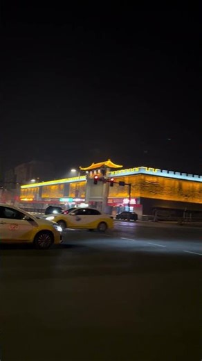Walking through the frozen midnight of Northeast China ❄️🌙