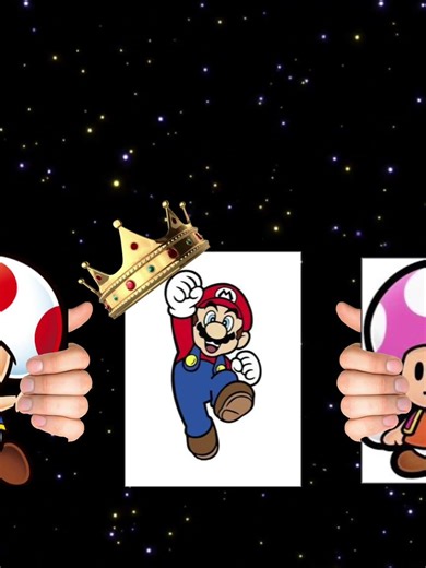 toad vs toadette and mushroom kingdom king bros of mario