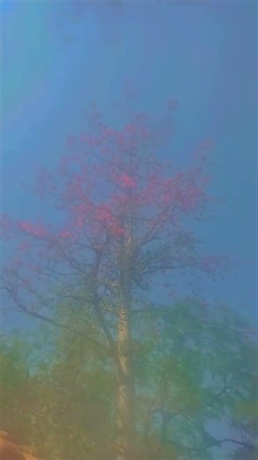 public library video #comedy