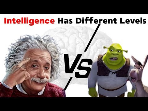 actually explained: Every Level of Intelligence Explained Simply