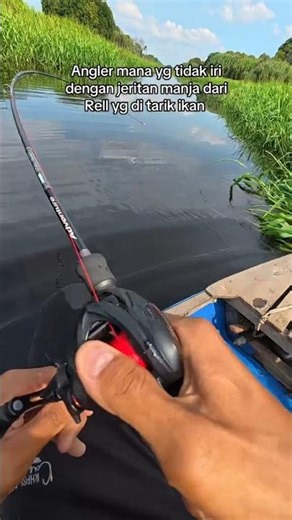 goblin gorgon bikin reel menangis, seahunter starfall DC