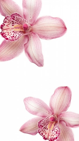 Creative Summer Bitmoji Outfit Ideas for Besties