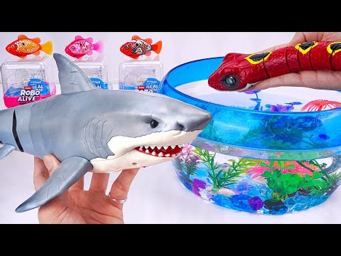 Toy asmr 🐟 Zuru Pets Alive Aquarium + Zuru Robo Fish ASMR Satisfying with Unboxing