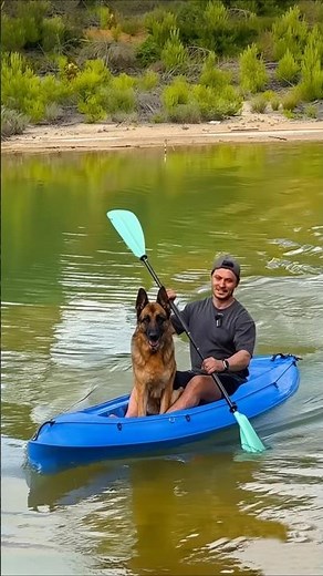 Unforgettable Camping with My Dogs by the Lake! 🏕️