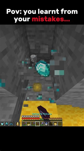 Pov: you learnt from your mistakes... #minecraft