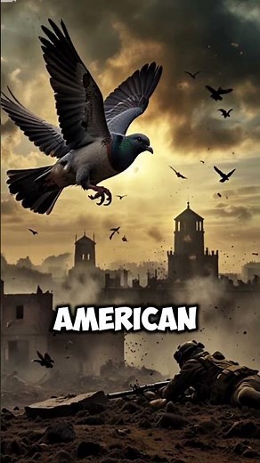 How Carrier Pigeons Saved Thousands of Lives!
