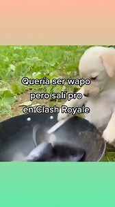 pro em CLASH | Javyan gamer