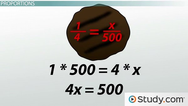Proportion | Definition, Formula & Types